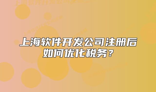 上海軟件開發(fā)公司注冊(cè)后如何優(yōu)化稅務(wù)？