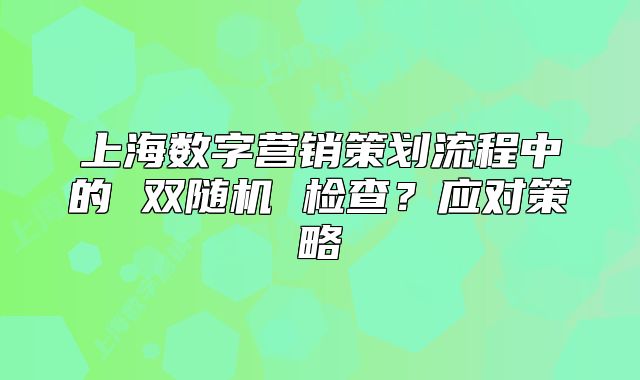 上海數(shù)字營銷策劃流程中的 雙隨機 檢查？應(yīng)對策略
