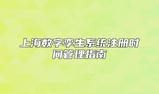上海數(shù)字孿生系統(tǒng)注冊(cè)時(shí)間管理指南
