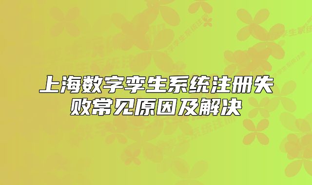 上海數(shù)字孿生系統(tǒng)注冊失敗常見原因及解決
