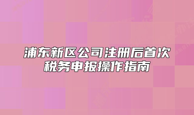 浦東新區(qū)公司注冊后首次稅務(wù)申報操作指南
