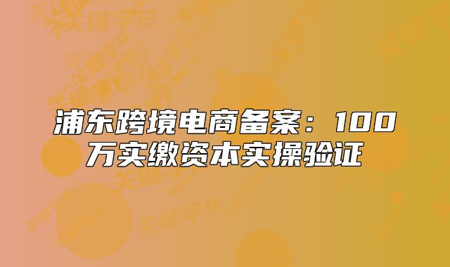 浦東跨境電商備案：100萬實繳資本實操驗證