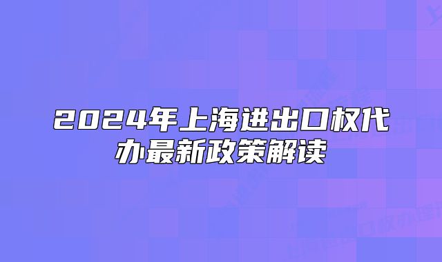 2024年上海進(jìn)出口權(quán)代辦最新政策解讀