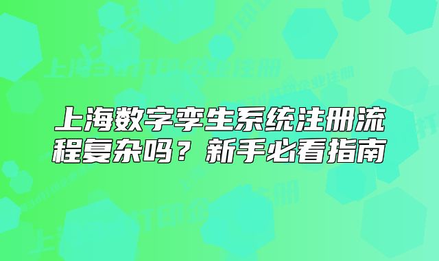 上海數(shù)字孿生系統(tǒng)注冊流程復(fù)雜嗎？新手必看指南