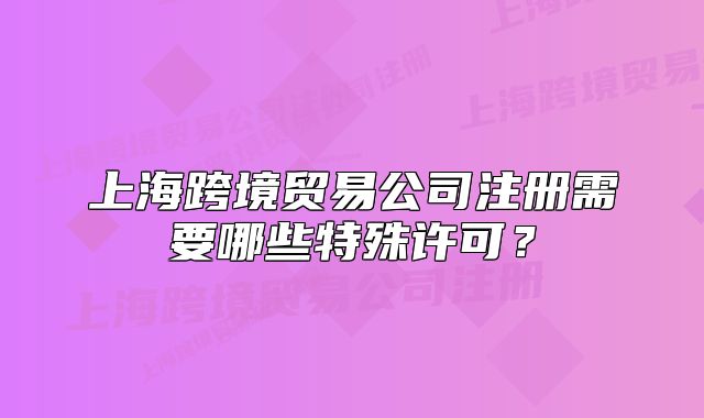 上?？缇迟Q(mào)易公司注冊(cè)需要哪些特殊許可？