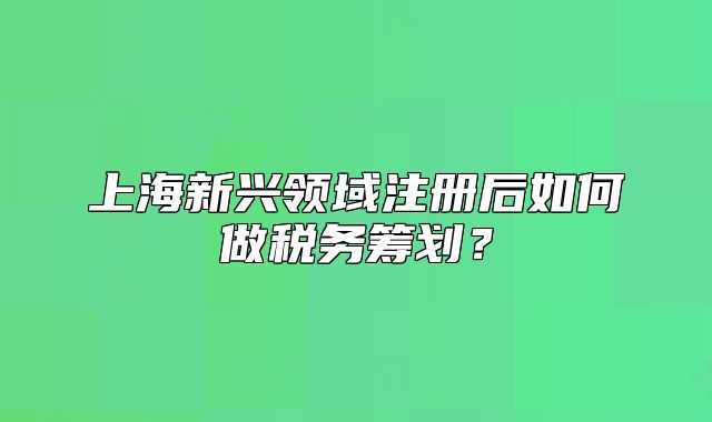 上海新興領(lǐng)域注冊后如何做稅務(wù)籌劃？