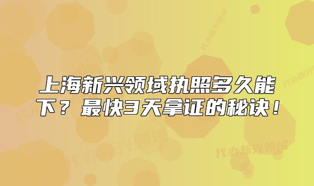 上海新興領(lǐng)域執(zhí)照多久能下？最快3天拿證的秘訣！