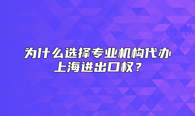 為什么選擇專業(yè)機(jī)構(gòu)代辦上海進(jìn)出口權(quán)？