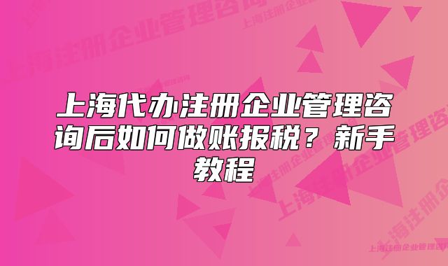 上海代辦注冊(cè)企業(yè)管理咨詢后如何做賬報(bào)稅？新手教程
