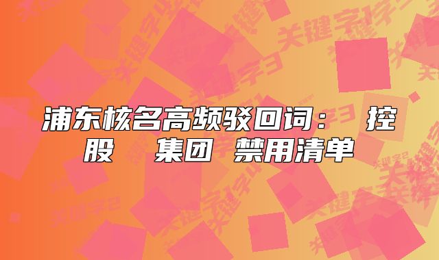 浦東核名高頻駁回詞： 控股  集團(tuán) 禁用清單
