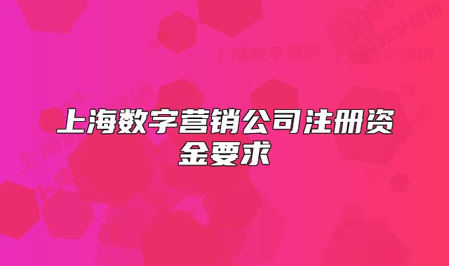 上海數(shù)字營(yíng)銷(xiāo)公司注冊(cè)資金要求