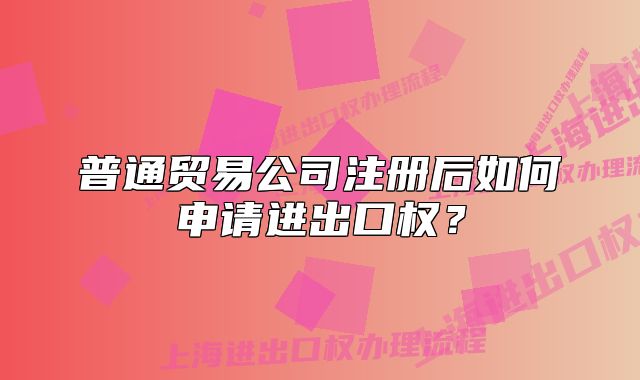 普通貿(mào)易公司注冊(cè)后如何申請(qǐng)進(jìn)出口權(quán)？