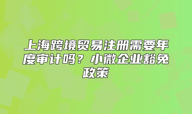 上?？缇迟Q(mào)易注冊(cè)需要年度審計(jì)嗎？小微企業(yè)豁免政策