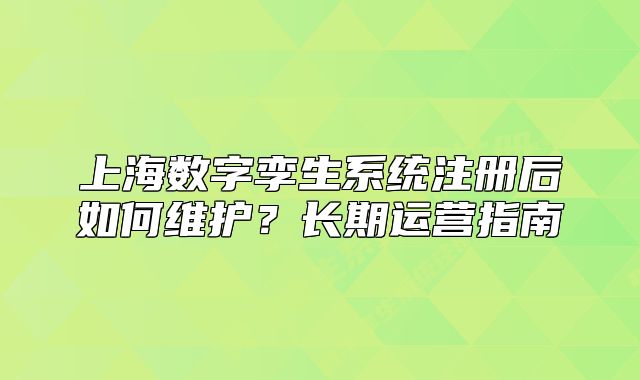 上海數(shù)字孿生系統(tǒng)注冊后如何維護(hù)？長期運營指南