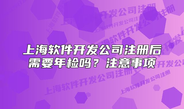 上海軟件開發(fā)公司注冊后需要年檢嗎？注意事項
