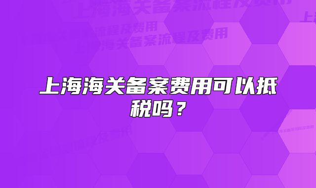 上海海關(guān)備案費(fèi)用可以抵稅嗎？