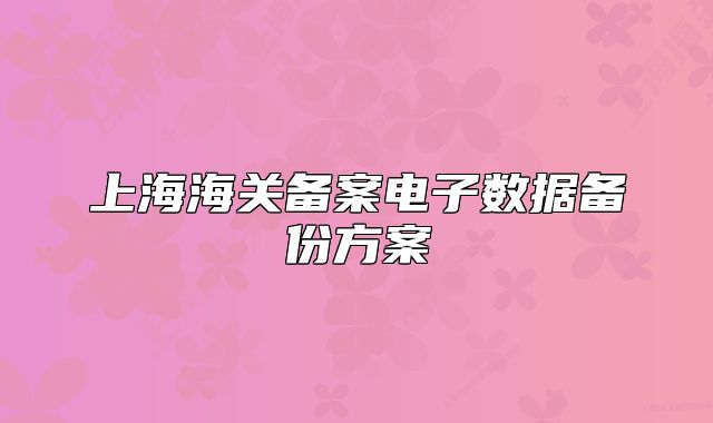 上海海關備案電子數(shù)據(jù)備份方案