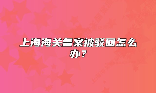 上海海關(guān)備案被駁回怎么辦？