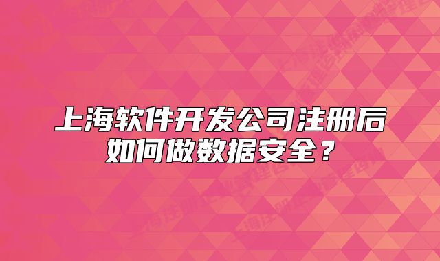 上海軟件開發(fā)公司注冊(cè)后如何做數(shù)據(jù)安全？