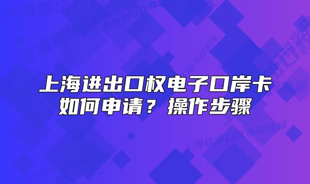 上海進(jìn)出口權(quán)電子口岸卡如何申請？操作步驟
