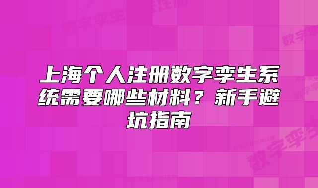上海個人注冊數(shù)字孿生系統(tǒng)需要哪些材料？新手避坑指南