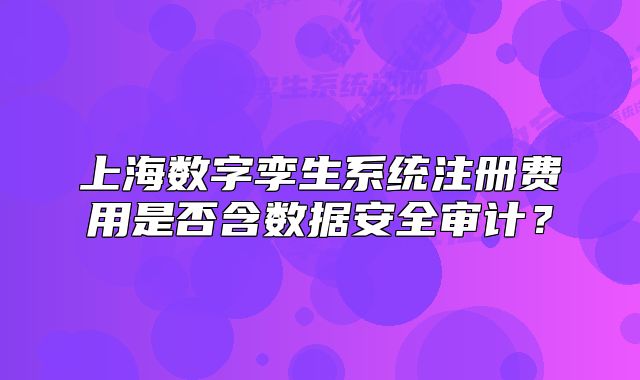 上海數(shù)字孿生系統(tǒng)注冊(cè)費(fèi)用是否含數(shù)據(jù)安全審計(jì)？