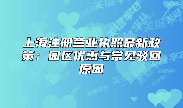 上海注冊(cè)營業(yè)執(zhí)照最新政策：園區(qū)優(yōu)惠與常見駁回原因