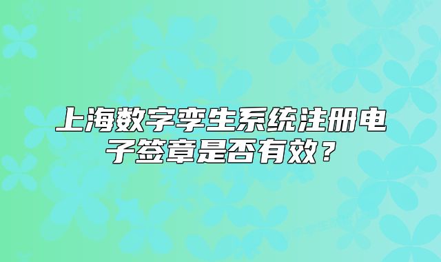 上海數(shù)字孿生系統(tǒng)注冊(cè)電子簽章是否有效？