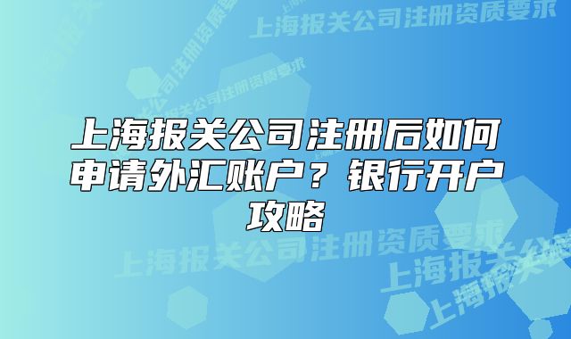 上海報(bào)關(guān)公司注冊(cè)后如何申請(qǐng)外匯賬戶？銀行開(kāi)戶攻略