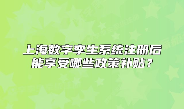 上海數(shù)字孿生系統(tǒng)注冊(cè)后能享受哪些政策補(bǔ)貼？