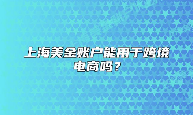 上海美金賬戶能用于跨境電商嗎？