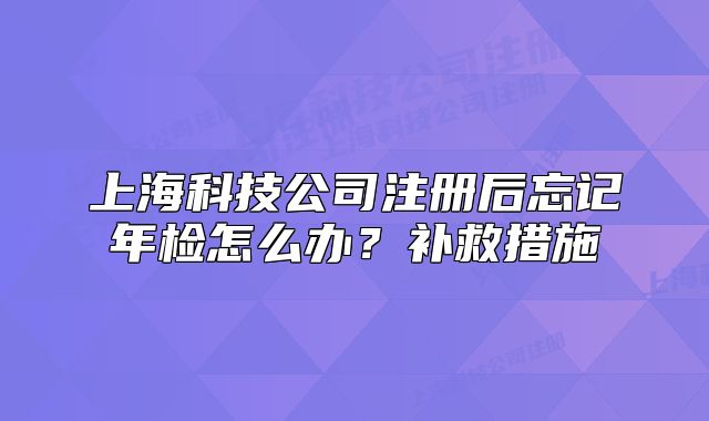 上?？萍脊咀?cè)后忘記年檢怎么辦？補(bǔ)救措施