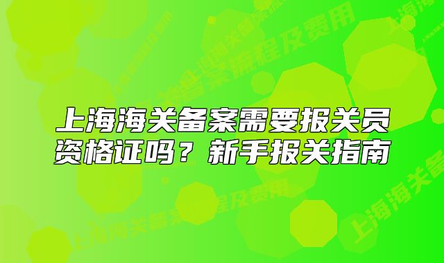 上海海關(guān)備案需要報(bào)關(guān)員資格證嗎？新手報(bào)關(guān)指南