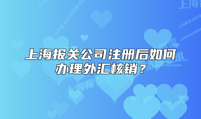 上海報關(guān)公司注冊后如何辦理外匯核銷？