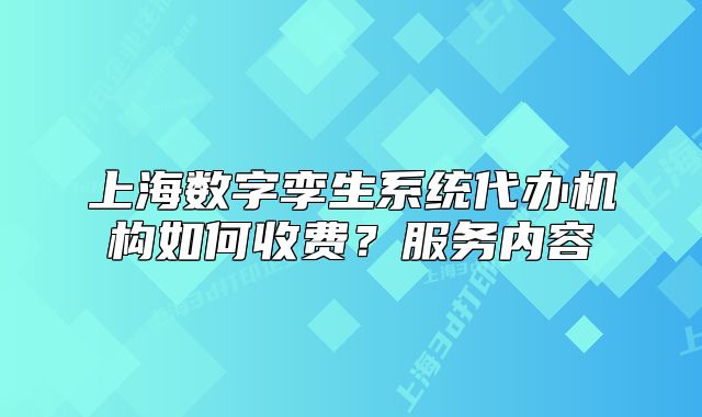 上海數(shù)字孿生系統(tǒng)代辦機(jī)構(gòu)如何收費(fèi)？服務(wù)內(nèi)容