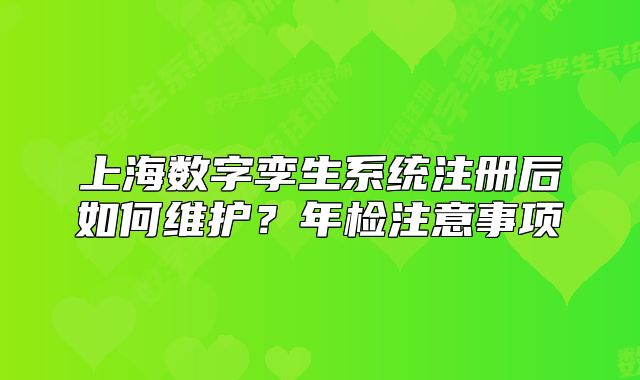 上海數(shù)字孿生系統(tǒng)注冊后如何維護？年檢注意事項