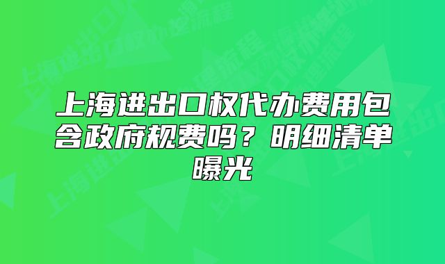 上海進(jìn)出口權(quán)代辦費用包含政府規(guī)費嗎？明細(xì)清單曝光