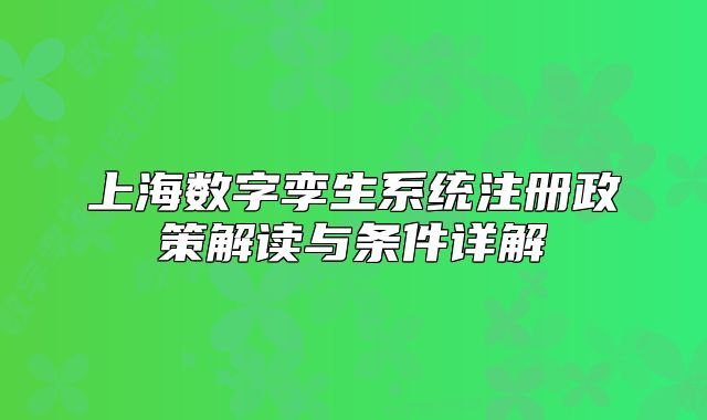 上海數(shù)字孿生系統(tǒng)注冊(cè)政策解讀與條件詳解