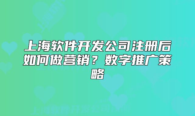 上海軟件開發(fā)公司注冊后如何做營銷？數(shù)字推廣策略