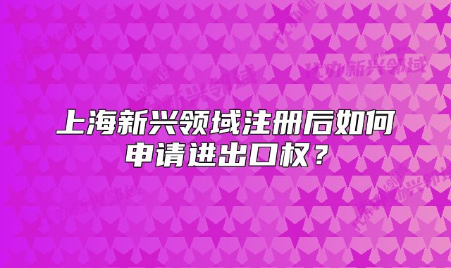 上海新興領(lǐng)域注冊后如何申請進(jìn)出口權(quán)？