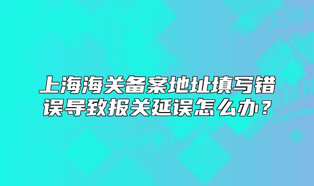 上海海關(guān)備案地址填寫錯誤導(dǎo)致報關(guān)延誤怎么辦？