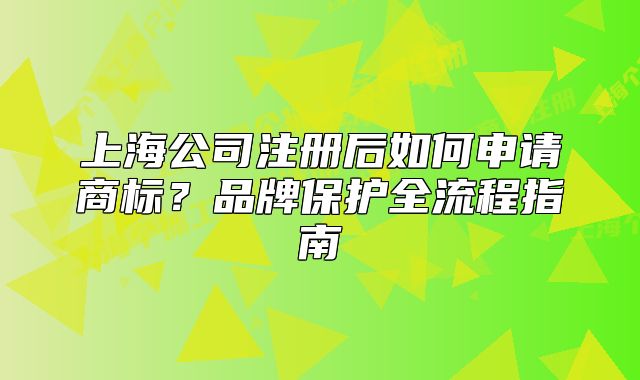 上海公司注冊后如何申請商標(biāo)？品牌保護全流程指南