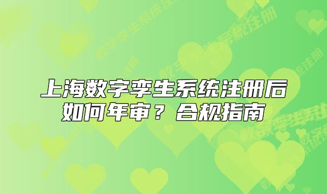 上海數(shù)字孿生系統(tǒng)注冊后如何年審？合規(guī)指南