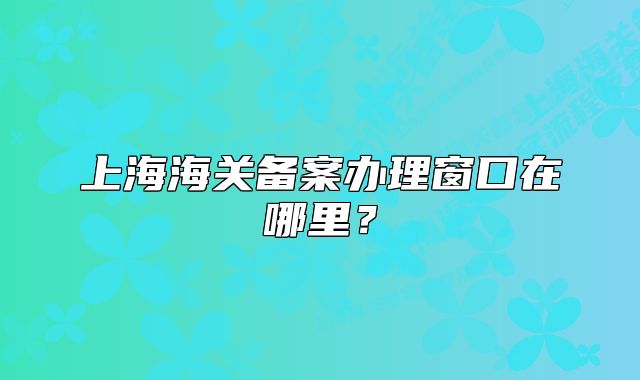 上海海關(guān)備案辦理窗口在哪里？