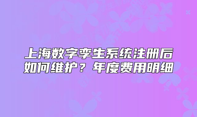 上海數(shù)字孿生系統(tǒng)注冊(cè)后如何維護(hù)？年度費(fèi)用明細(xì)