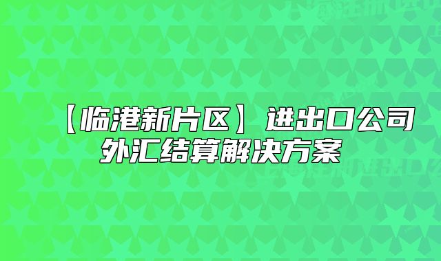 【臨港新片區(qū)】進(jìn)出口公司外匯結(jié)算解決方案