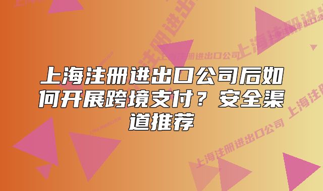 上海注冊進出口公司后如何開展跨境支付？安全渠道推薦
