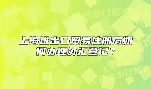 上海進(jìn)出口貿(mào)易注冊后如何辦理外匯登記？