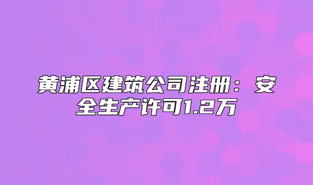 黃浦區(qū)建筑公司注冊：安全生產(chǎn)許可1.2萬