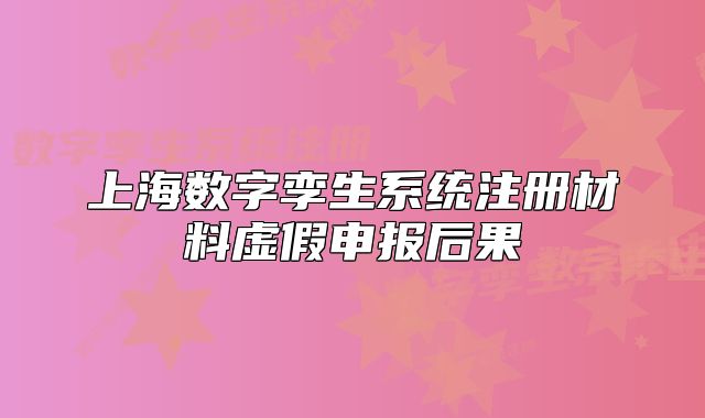 上海數(shù)字孿生系統(tǒng)注冊材料虛假申報后果